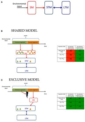 Sensory Memory Is Allocated Exclusively to the Current Event-Segment